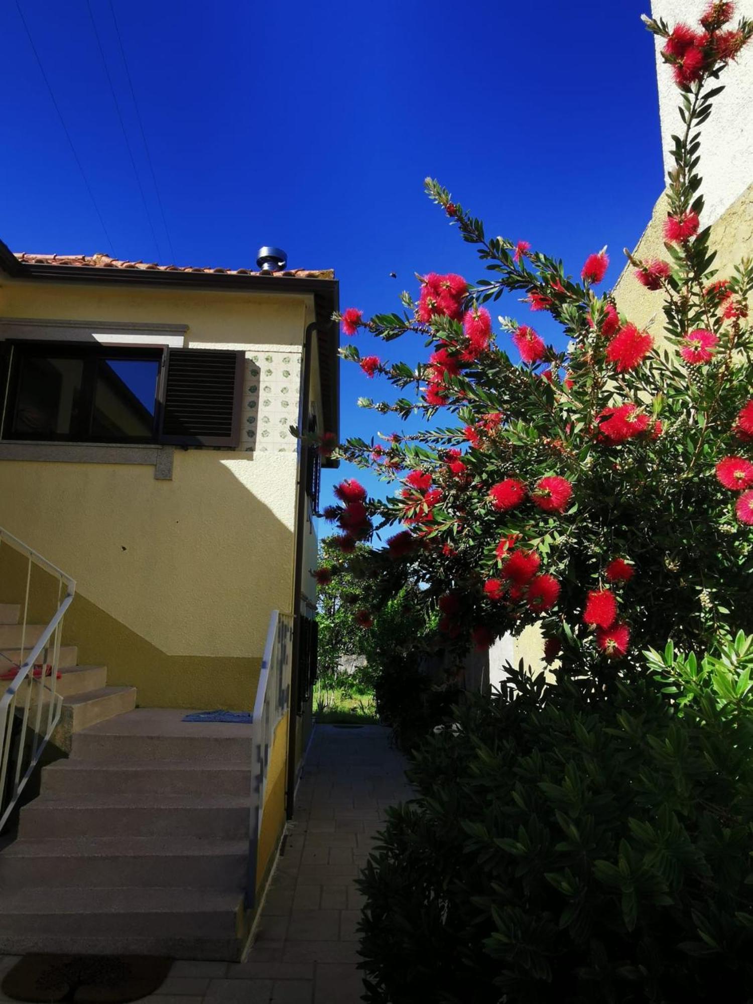Casa Sao Pedro Belinho Only Pilgrims Bed & Breakfast Dış mekan fotoğraf